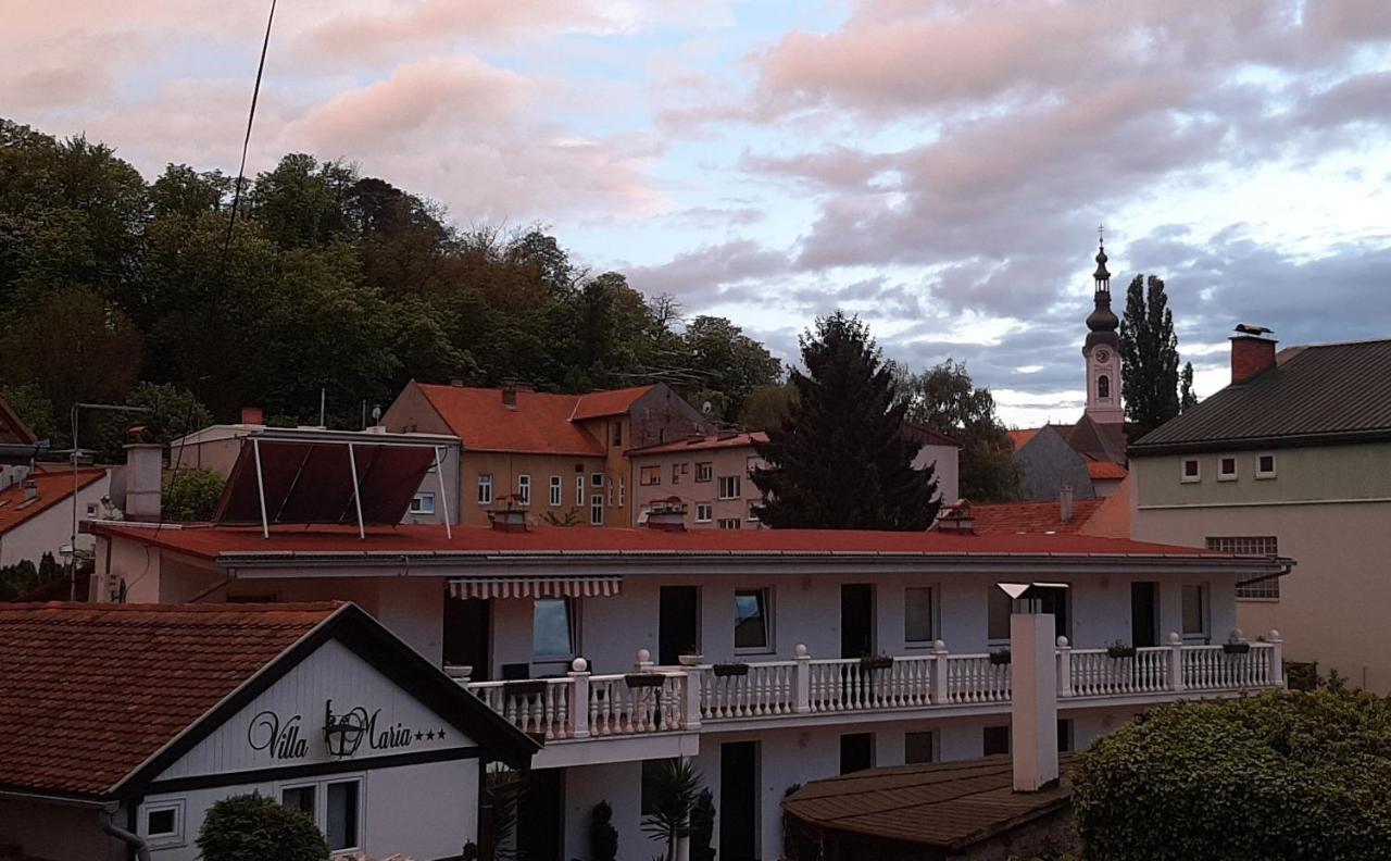 Villa Maria Pozega Bagian luar foto